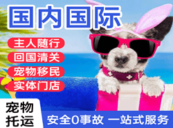 中卫沙坡头机场空运国际宠物托运 【国